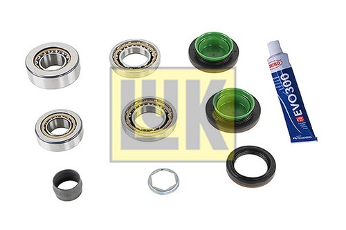 Reparatursatz differential luk - differential,