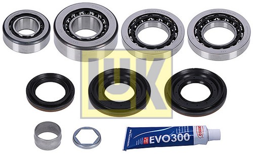 Reparatursatz differential luk - differential,